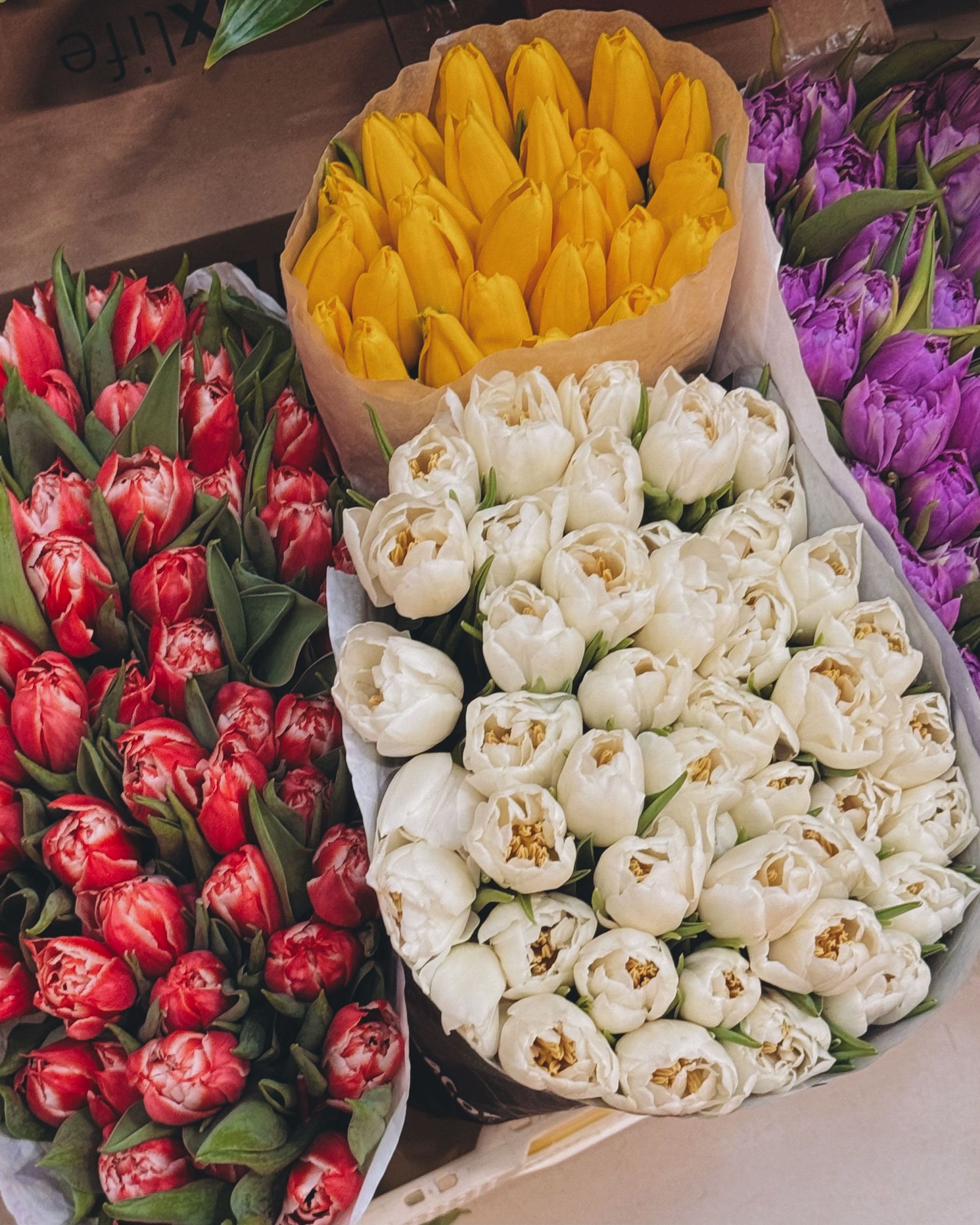 Vibrant tulip bouquets in various colors displayed at a market. Perfect for spring decor.