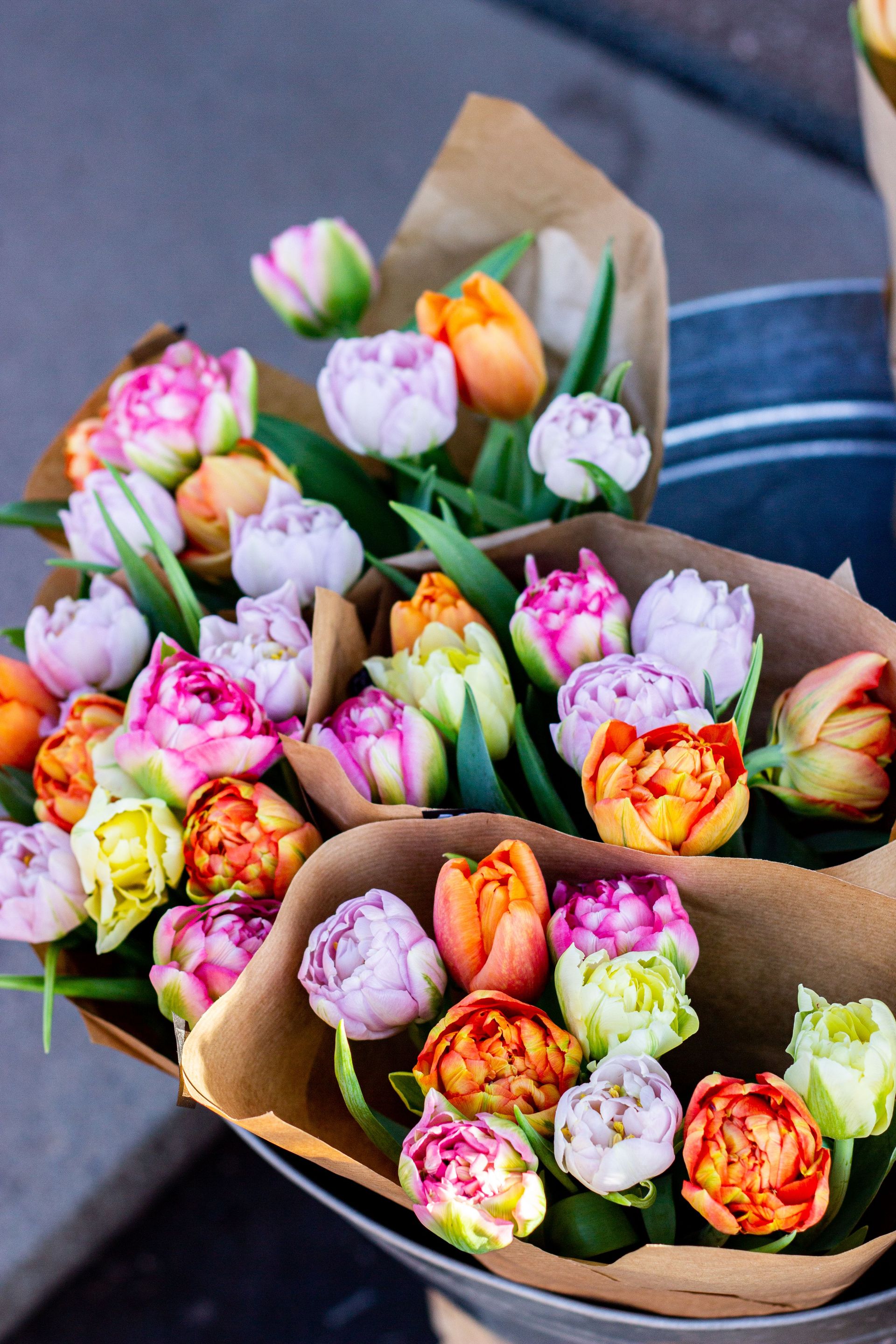 Colorful tulip bouquets wrapped in brown paper, perfect for spring decor and floral gifts.