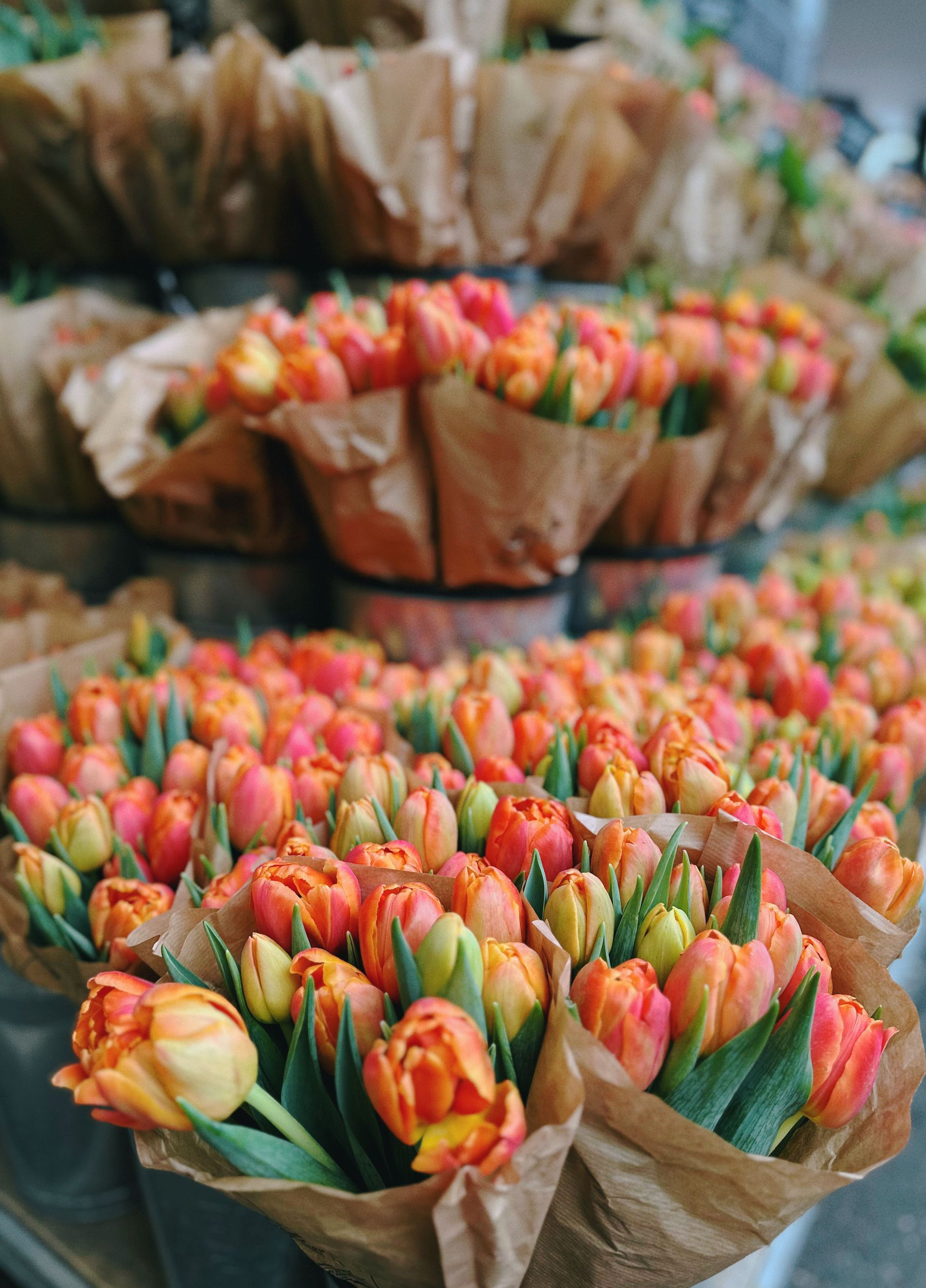 Assorted vibrant tulip bouquets in brown paper wraps on display in a florist shop.